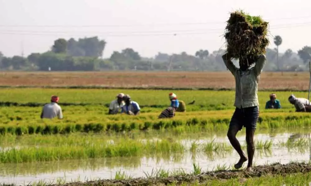 Farm loan waiver in Telangana likely from April