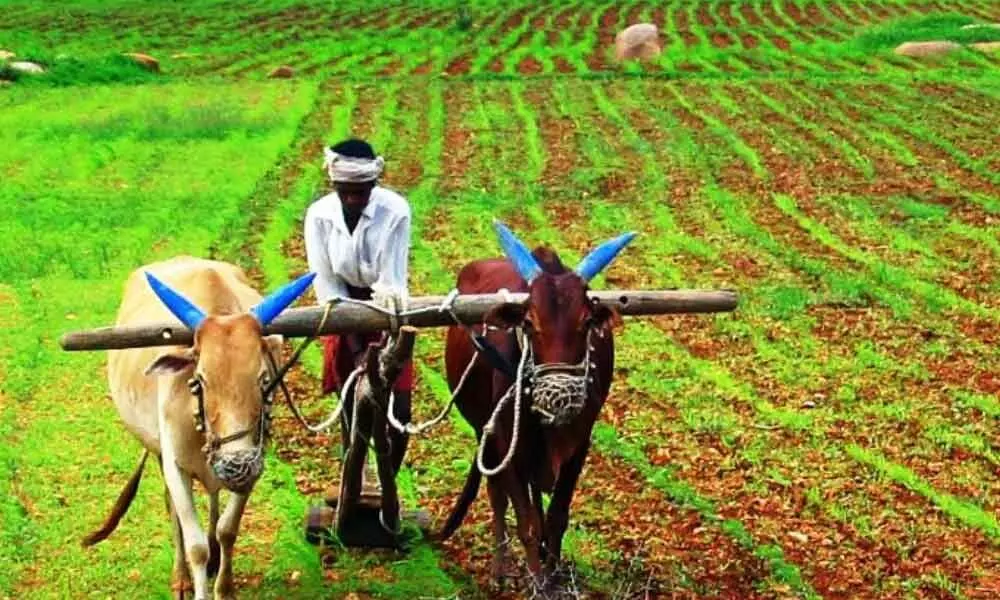 Hyderabad: Farm mechanisation, horticulture likely to get budget booster dose