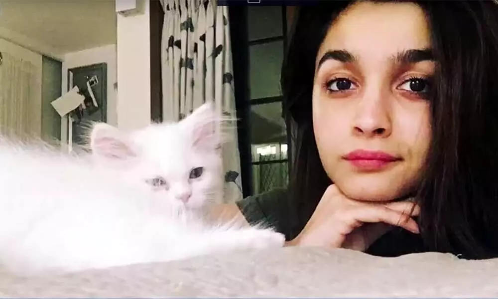 Alia Bhatt with her Pet Cat Edward make you go Awwww!!