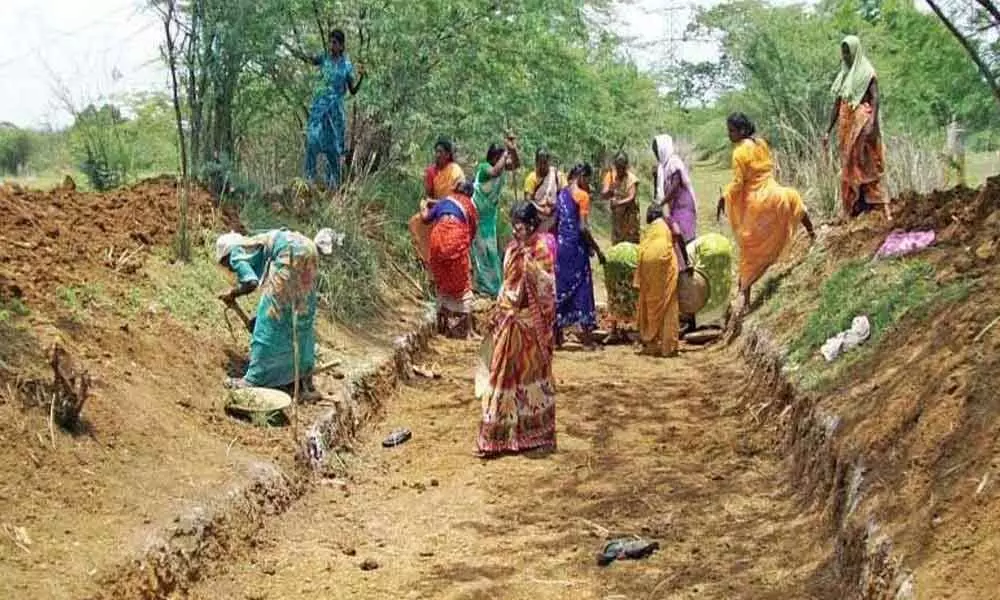 No progress in watch and ward activities of afforestation in Telangana state