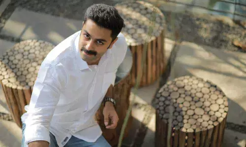 Bunny a bundle of energy