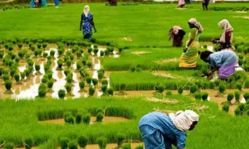 How to bail out farming in fast-paced world