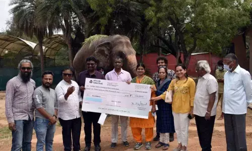 Hyderabad: Elephant, white tiger adopted at Zoo Park