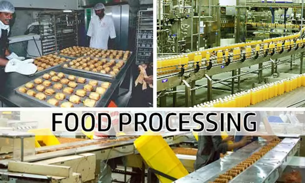 Centre assures 27 food processing units to Andhra Pradesh