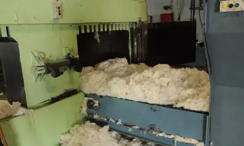Guntur: CCI likely to close down cotton purchase centres