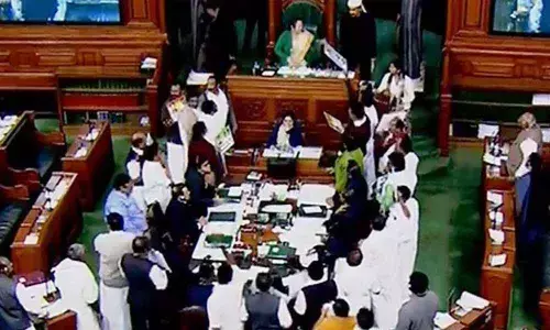 Houses in chaos as lawmakers stoop low