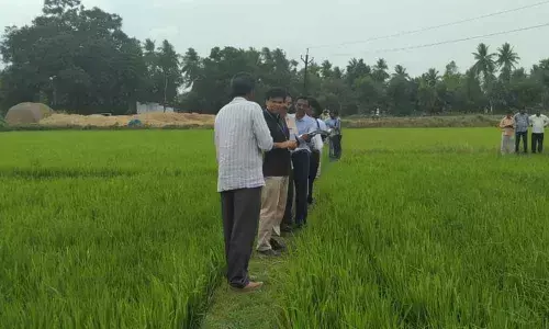Kakinada: Principal Secretary Praveen Prakash instructed the officials to expedite land acquisition