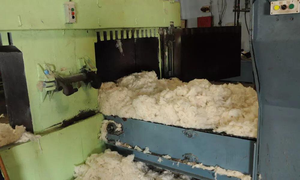 Guntur: CCI likely to close down cotton purchase centres