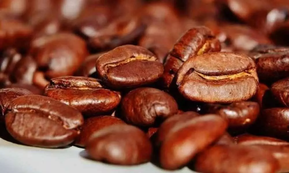 Caffeine may boost problem solving ability: Study