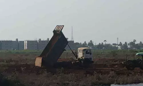 Kakinada: Environmentalists object to clearing mangroves for houses sites