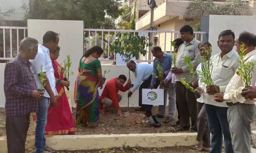 Secunderabad: Colony welfare bodies green drive
