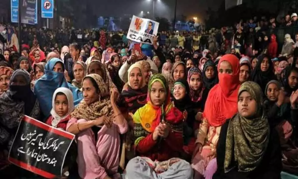 Shaheen Bagh: Greatest movement since Independence