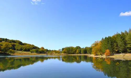 Novel system to forecast warming of lakes globally