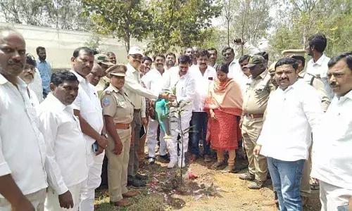Medak: FDC chief Venter Pratap Reddy for massive forestation