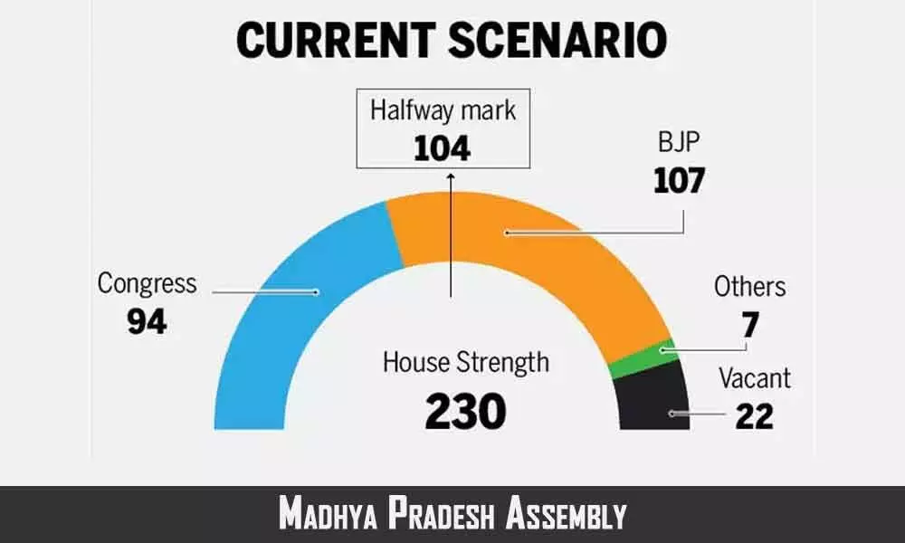 Bhopal: How numbers stack up in Madhya Pradesh Assembly