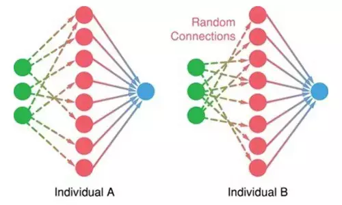 IIT Kanpur researchers find how brains overcome wiring variability