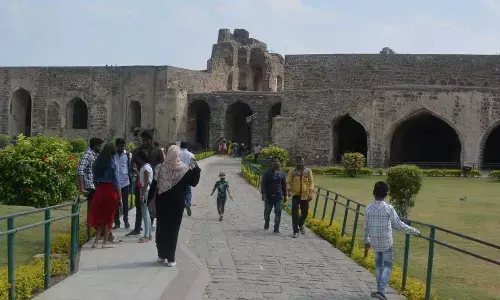 Unwanted Residents At Golconda Fort: Bedazzle The Bats