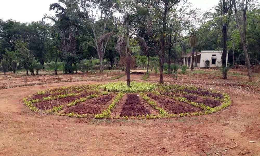 Hyderabad: Renovated Shivrampally park to open next month