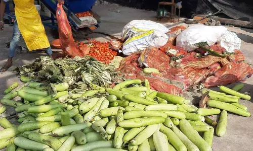 Bowenpally: Veggie waste packs a power punch