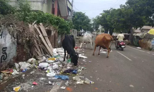 Kakinada: Ramaraopet residents fume over poor sanitation