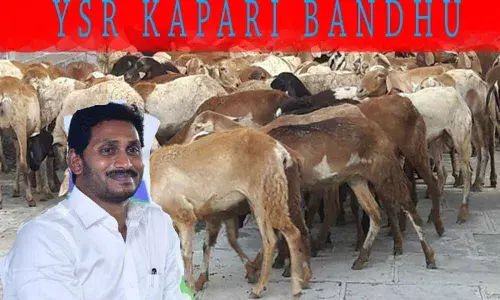 AP government to soon roll out YSR Kapari Bandhu scheme