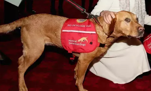 Hyderabad: Dogs can detect diseases