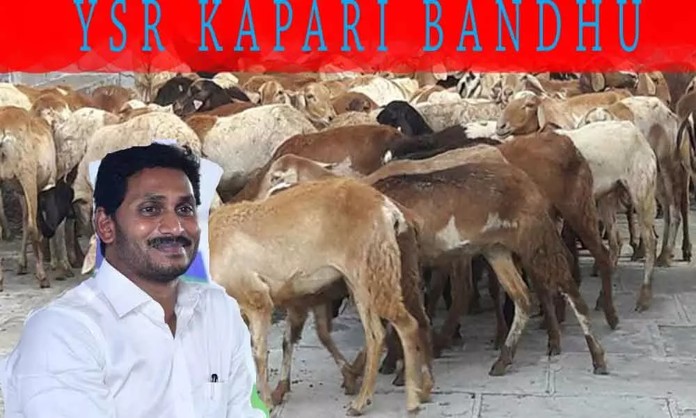 AP government to soon roll out YSR Kapari Bandhu scheme