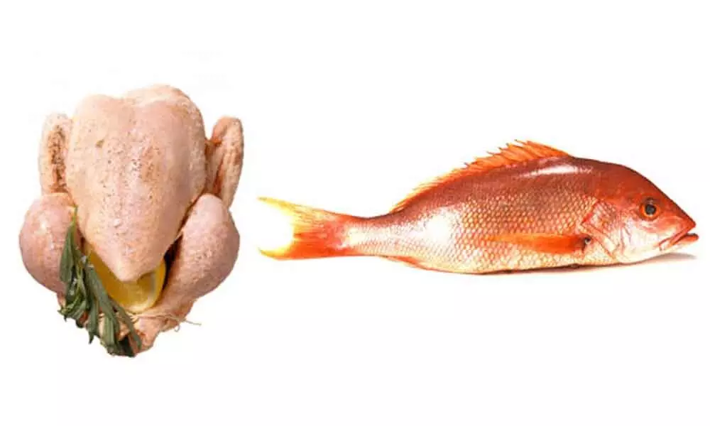 Amaravati: Covid-19 does not spread through eating chicken, fish said G Somasekharam