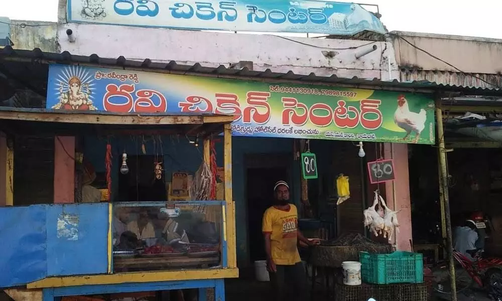 Kadapa: Chicken meat sales come down drastically