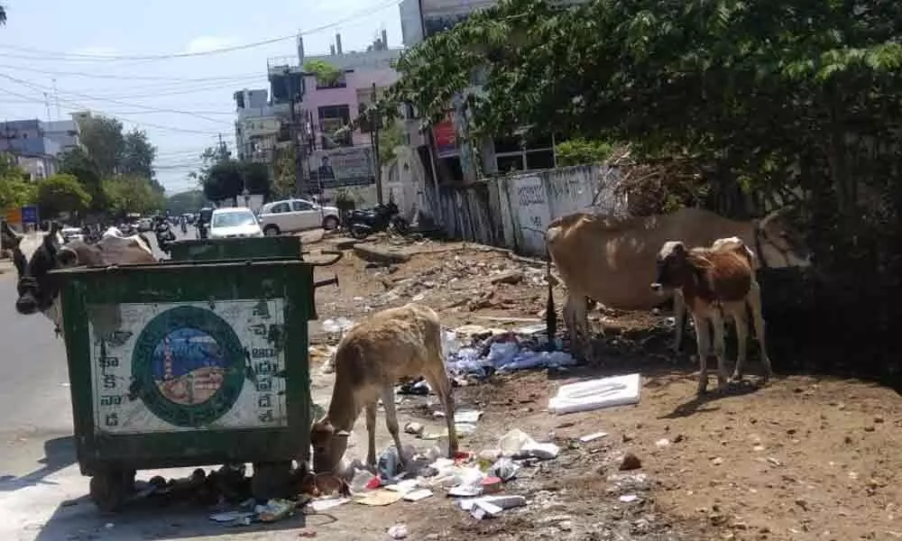 Kakinada: Poor sanitation in Smart City