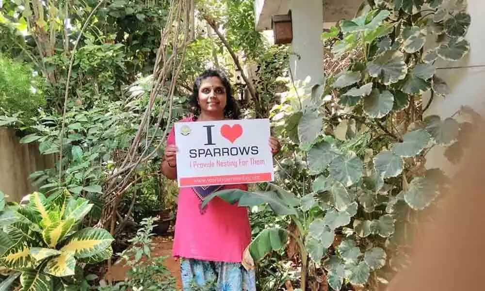 Hyderabad:  Nature Forever Society Rama Menon says Place a nest, bring back sparrows