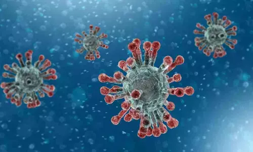 Anantapur: People are of the notion that no virus survives in hot temperatures