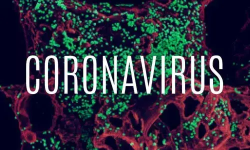 Spain becomes Number 3 in toll