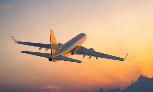 Domestic air travel suspended in India