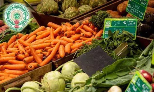 Commercial activities banned; essential services exempted in AP