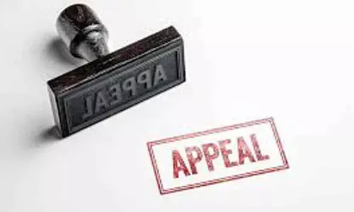 Appeal for global ceasefire