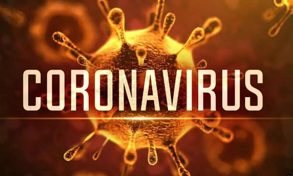 Total 23 coronavirus positive cases in AP, including 2 new, travel history traced