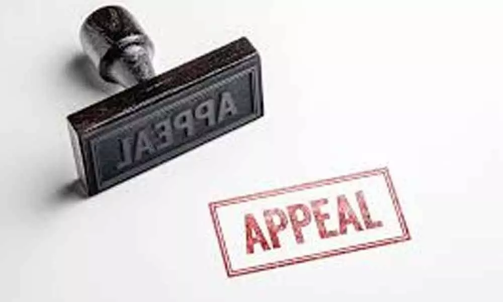 Appeal for global ceasefire