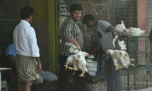 Amaravati: Some make light of lockdown