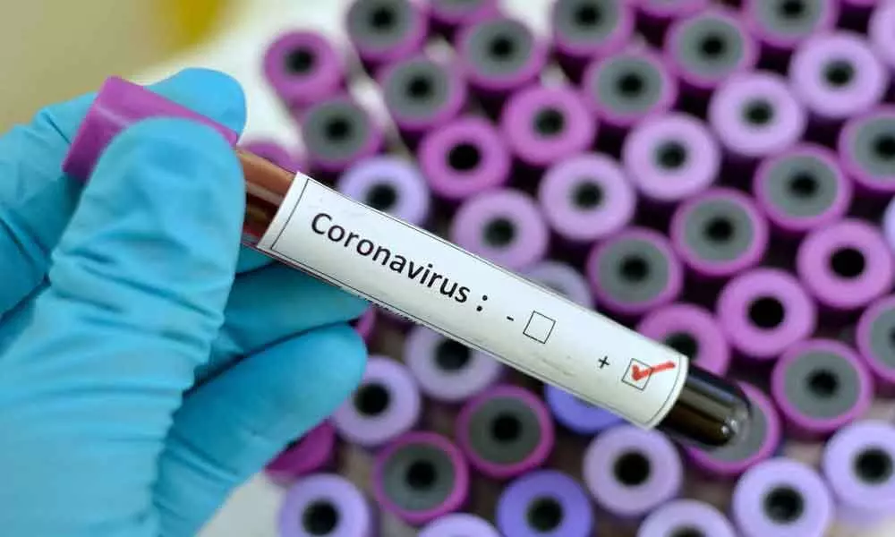 Coronavirus cases in India soar to 562