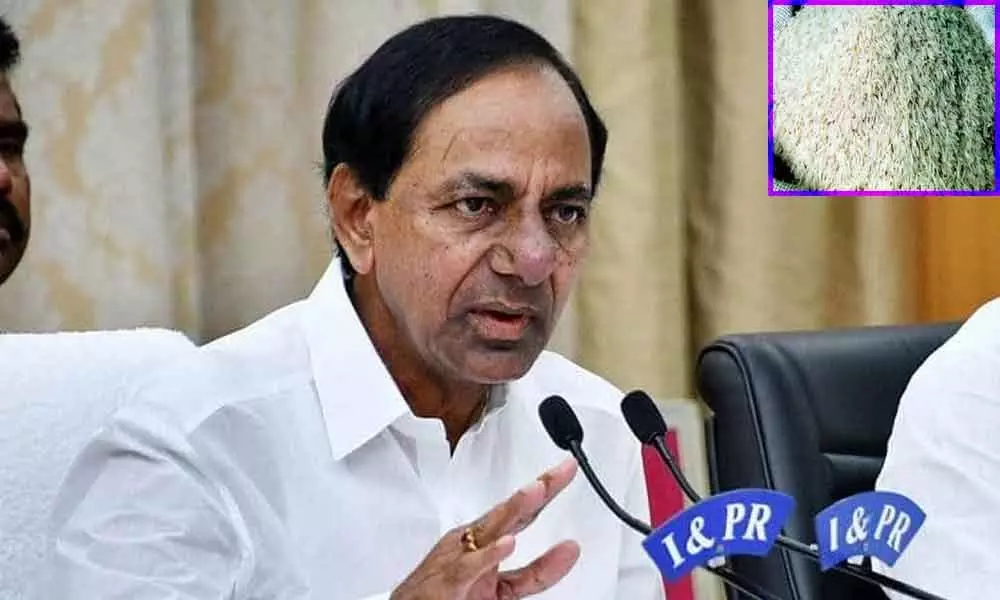 COVID-19: Telangana govt. to distribute rice to white ration card holders from tomorrow
