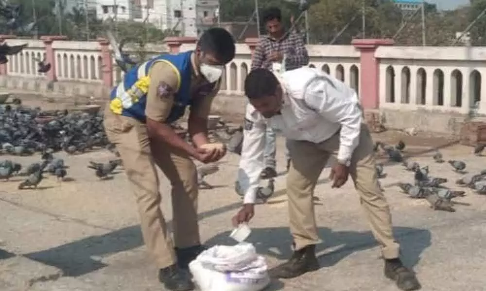 Hyderabad: Cops come to rescue of starving pigeons