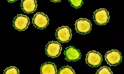 Here Is The Success Story Of A Corona Affected Family