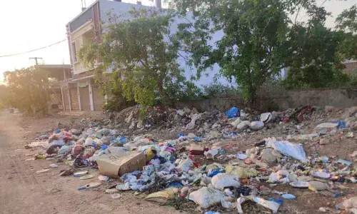 Hyderabad: Sanitation works hit hard in Rajendranagar