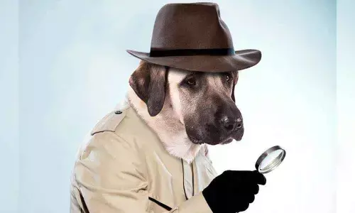 Dogs In Britain being trained to smell virus