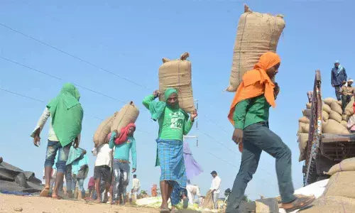 Telangana government gives instructions to protect NREG workers in summer