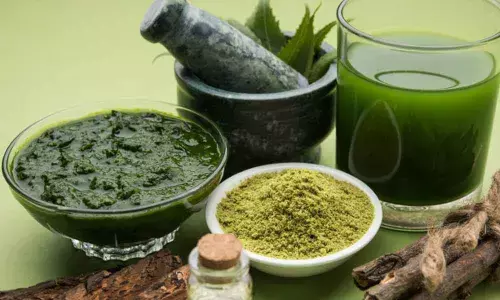 Goodness all the way: Every part of the neem plant can and should be used