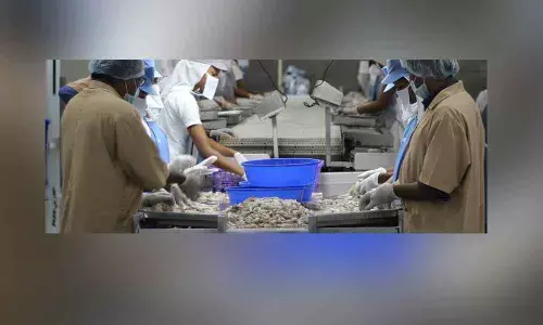 Nellore: Aqua sector grapples with labour shortage