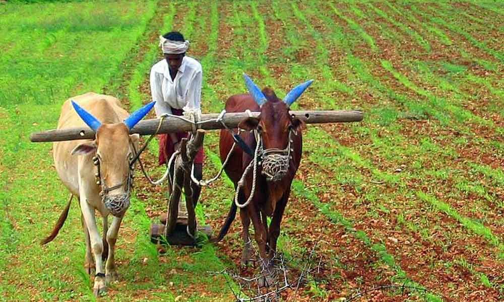 government-exempts-farming-and-allied-activities-from-lockdown