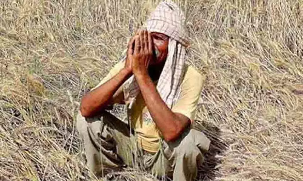 Telugu farmers stare at major crisis amid lockdown